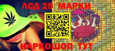 Альфа ПВП Дубна